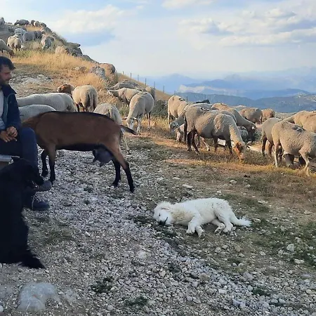 Le Refuge Du Mont Chiran * Blieux